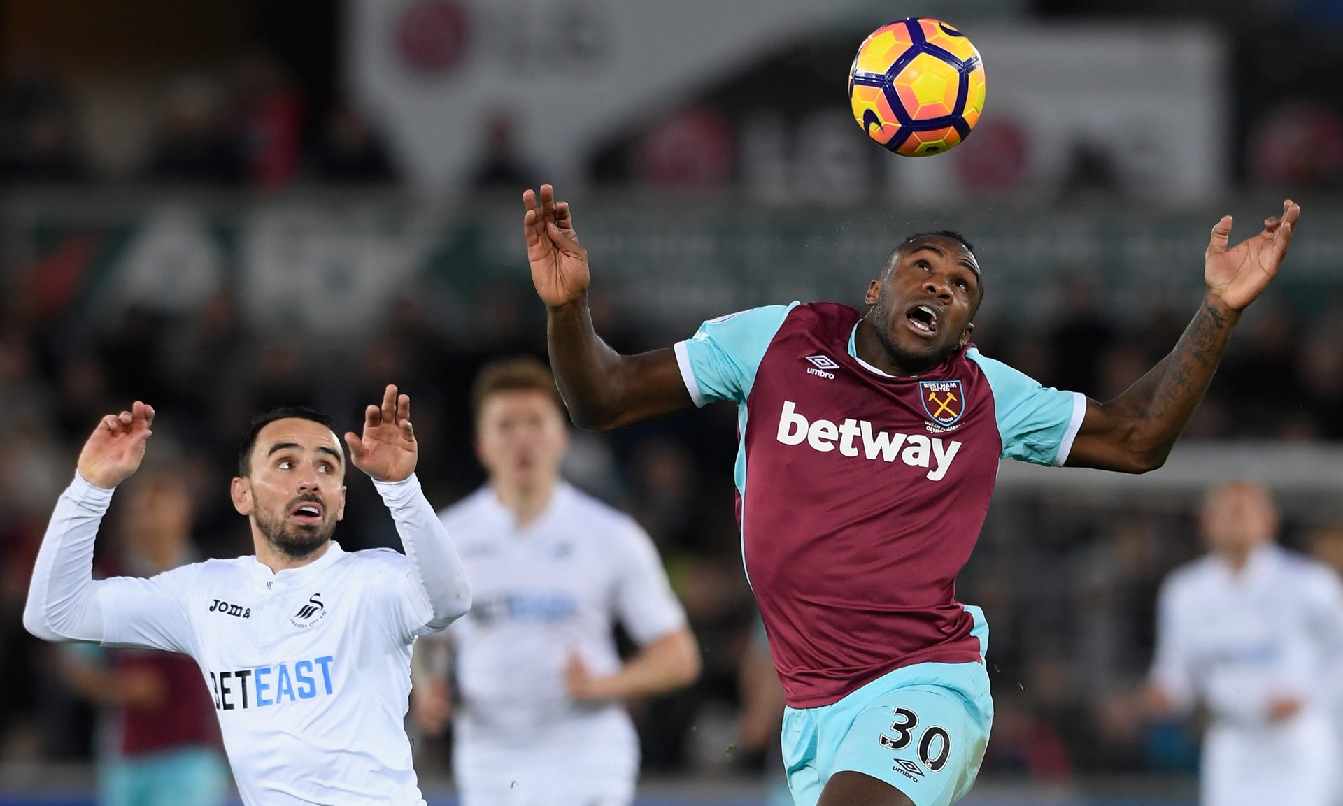 来以顽强和 来以顽强和